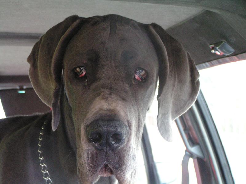 Foto: Na le-ti-ště?!