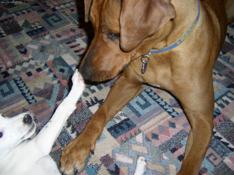 Foto: Reček a Dreeny-už mě nech konečně vyspat!