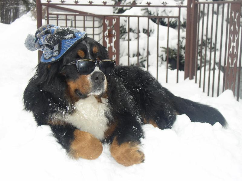 Foto: Bad ve sněhu-...jdu s módou....