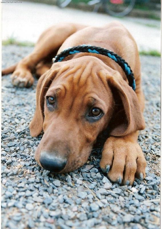 Foto: Richánek-:-)))