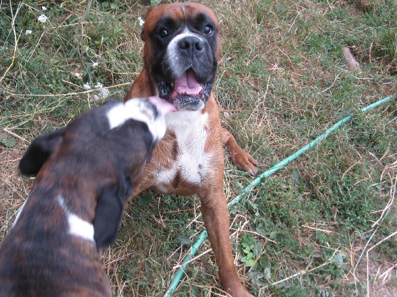 Foto: Mám tě ráda-Pár boxerů