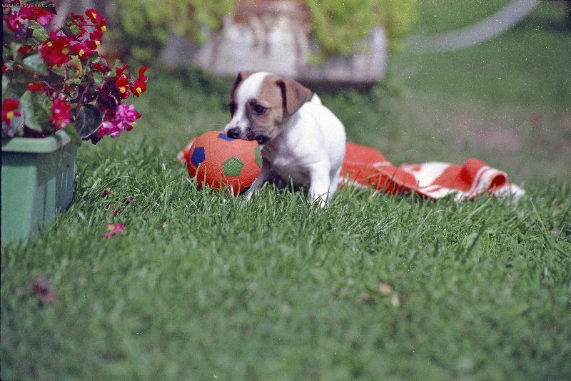 Foto: Poprvé venku-Když jsem byla poprvé venku