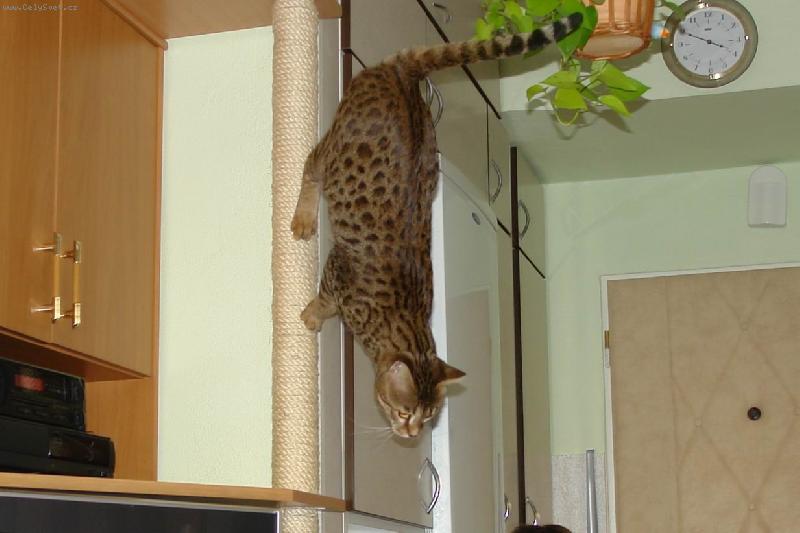 Foto: Dolu je to nejlehčí