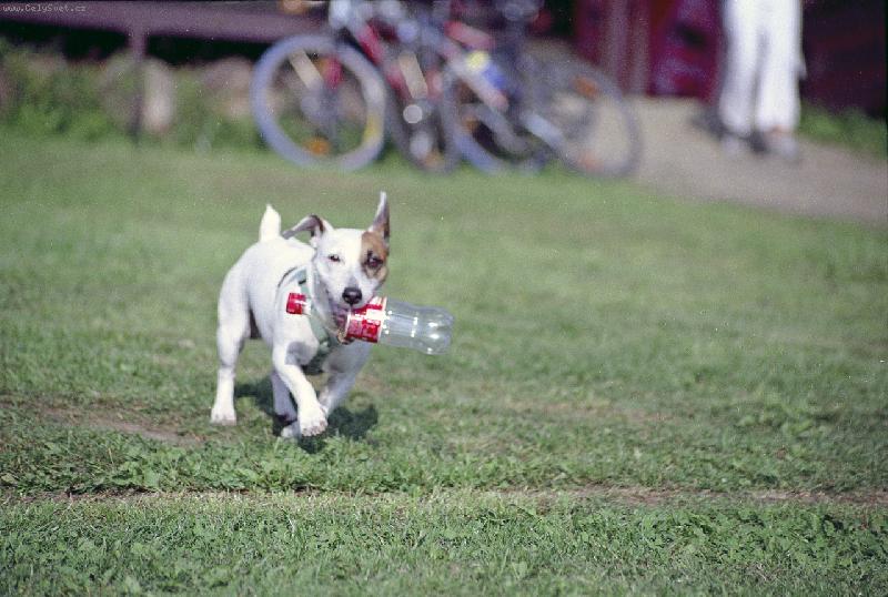 Foto: Dusty-Tak kdo je tady králem ?