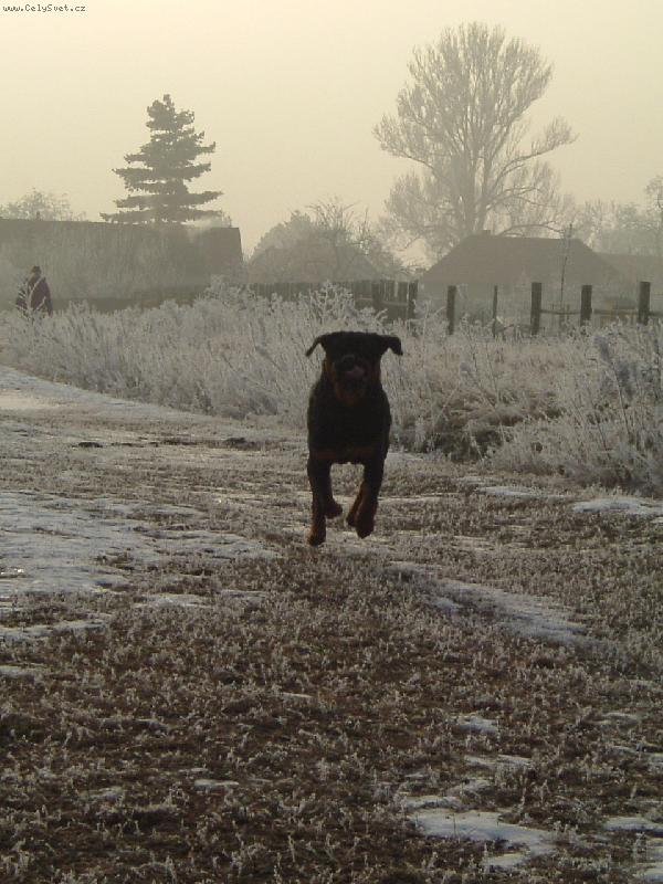 Foto: Létající Čestmír