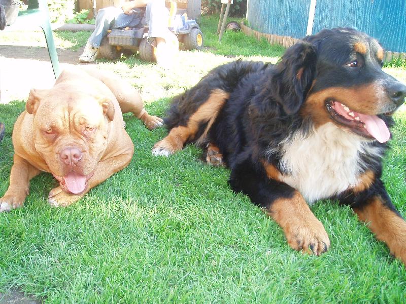 Foto: Maxík a Samira-utahaný kámoši