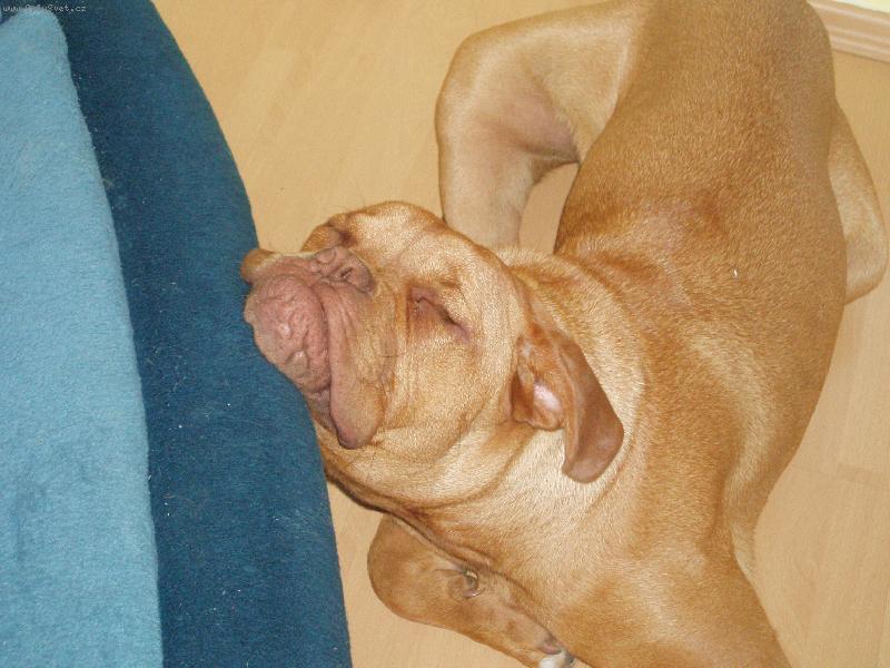 Foto: Samira-nerušit spim ! Samira