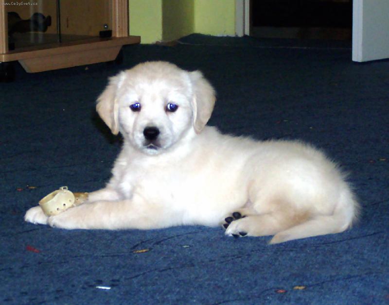 Foto: tak teď mě vyfo