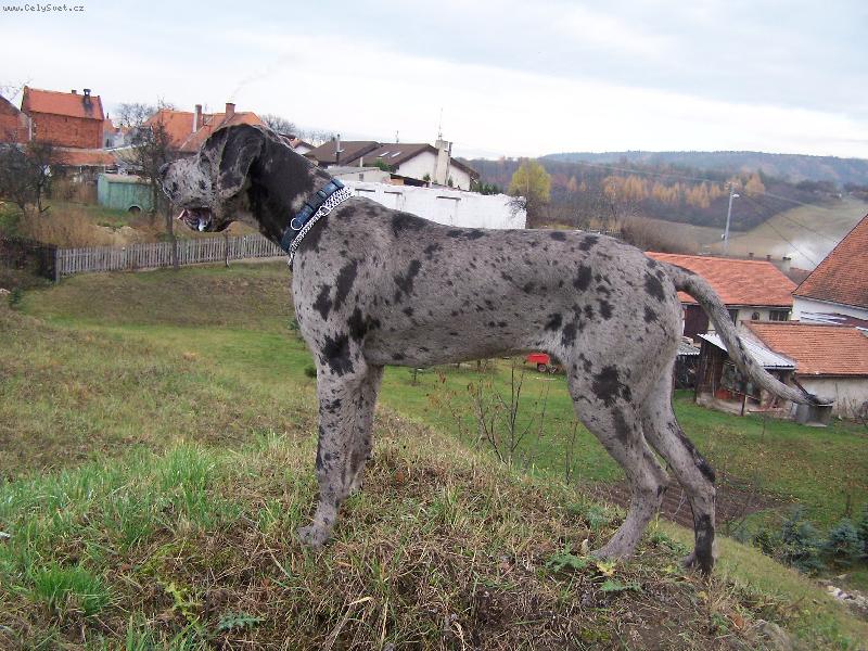 Foto: IGOREK-to to letí, je mi 7měsíců