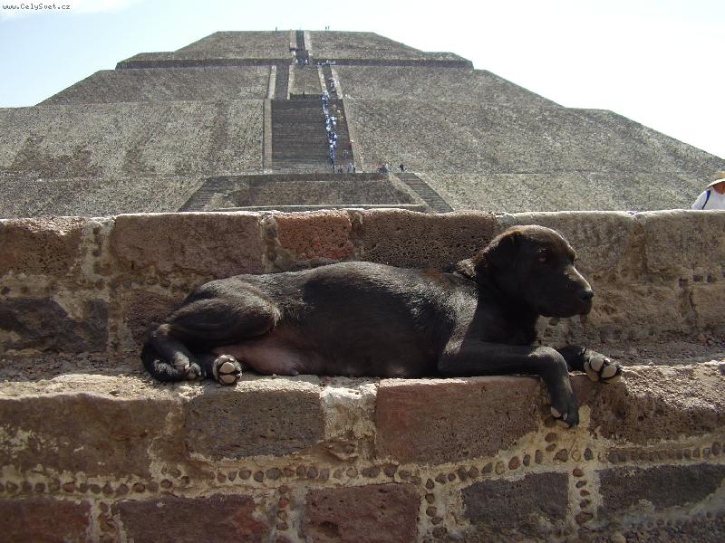 Foto: Teotihuacán hlídač pyramidy