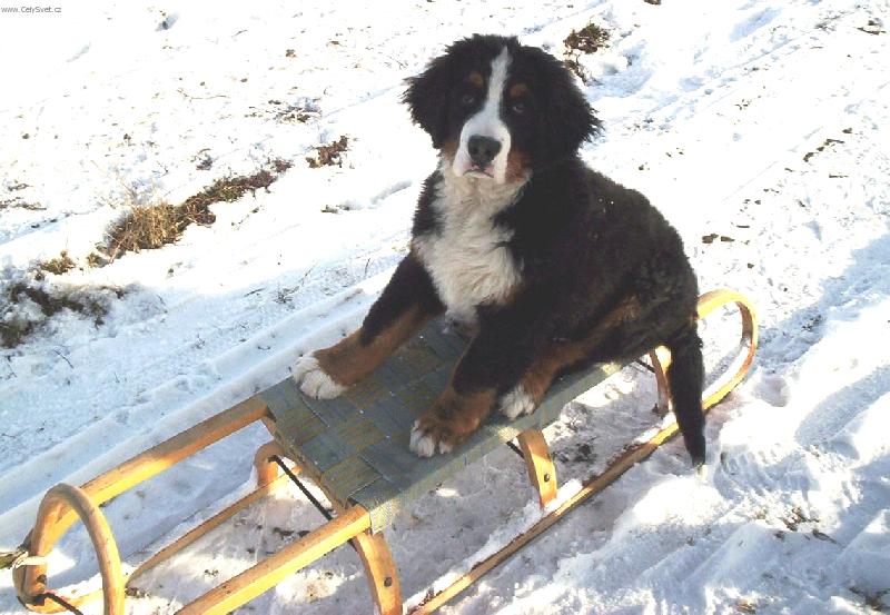 Foto: Bary-a už frčím