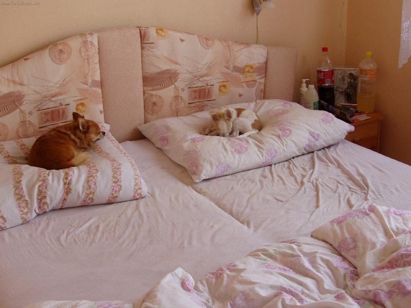 Foto: Já tady, ty tam.