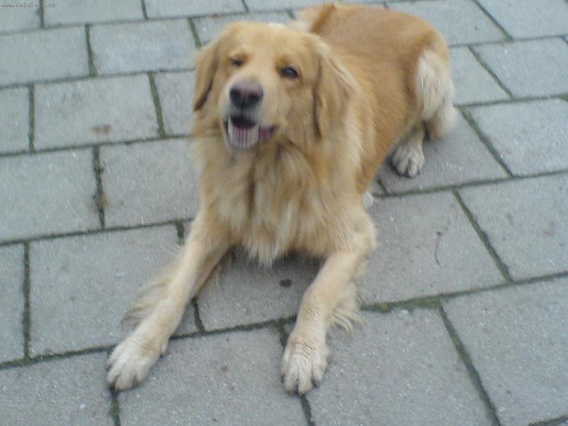 Foto: Connyho souhlas