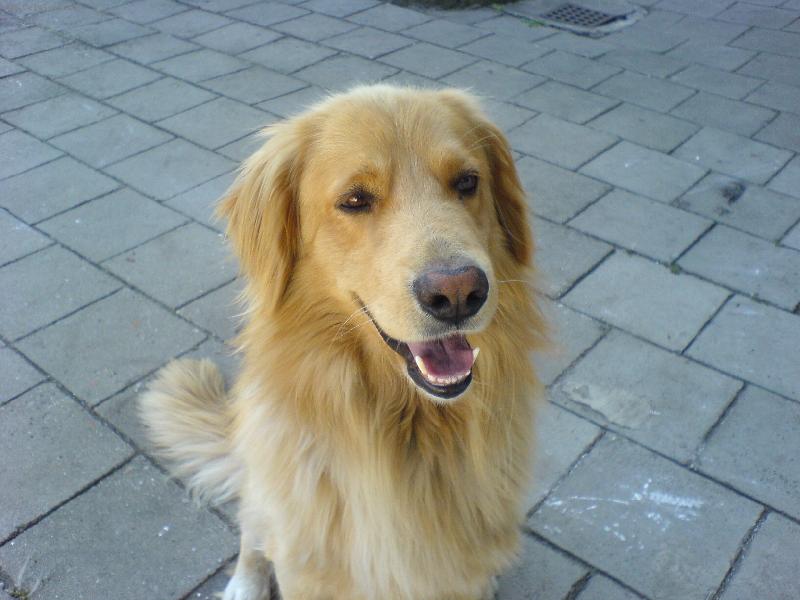 Foto: Conny-Conny umí být i milej