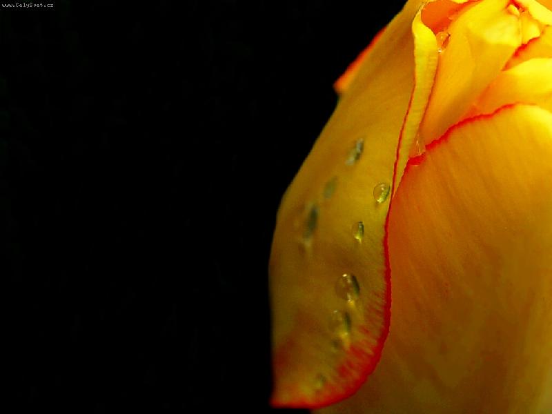 Foto: Pro mou lásku....