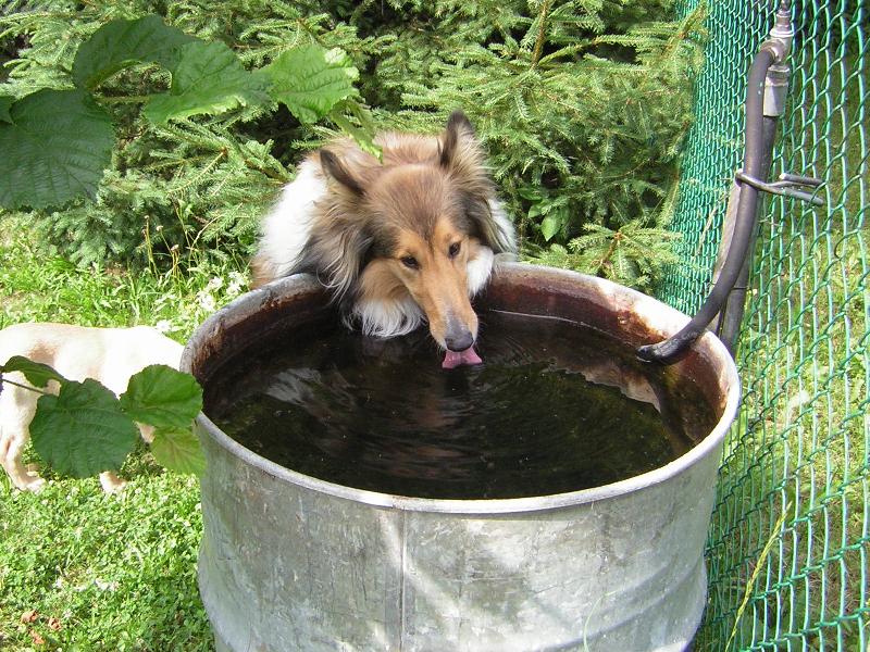 Foto: To je žízeň