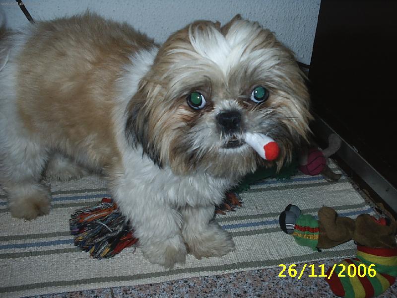 Foto: ZITRA UZ FAKT PRESTANU!-SALINKA