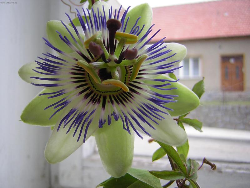 Foto: Není krásná?