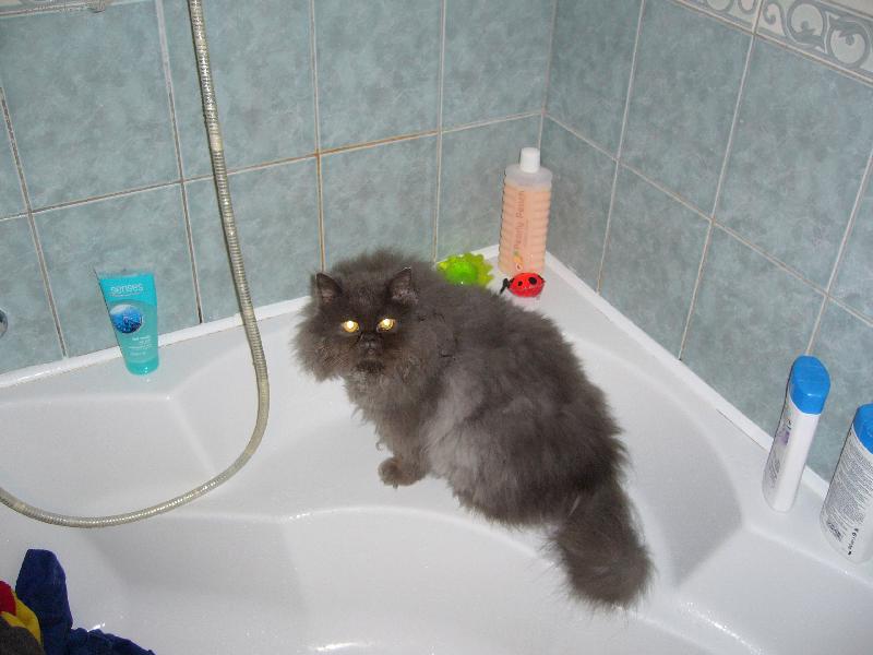 Foto: Matýsek ve vaně