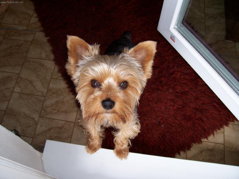 Foto: Doma my říkají,že jsem klááásný,jak to vidíte vy???