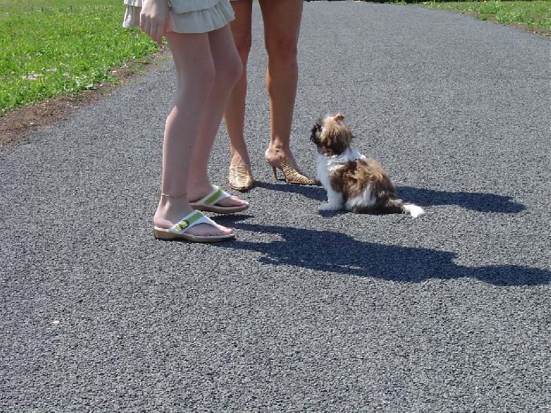 Foto: Besinka se jde učit testy autoškoly-co dodat