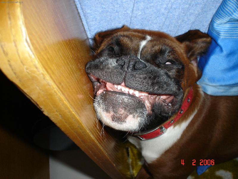 Foto: Baxík-Úsměv, prosím!!!