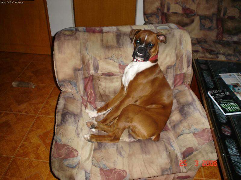Foto: Baxík-To je ale posezeníčko =-)