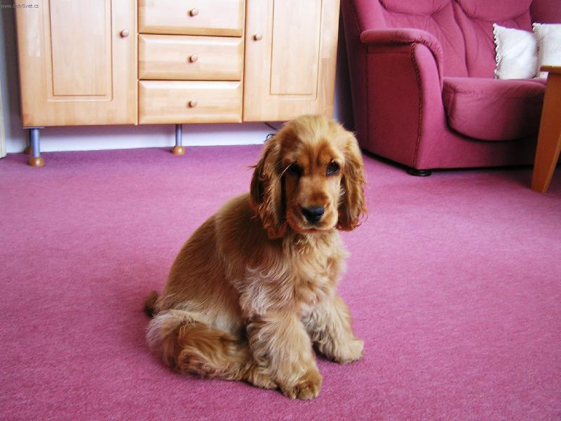 Foto: Bára_I-To jsem byla malinká ...