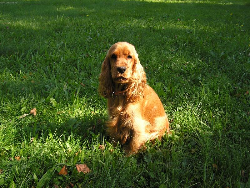 Foto: Bára_II-... a teď jsem velká !