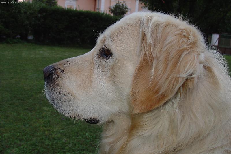 Foto: Profil zlaáčka-Dagísek