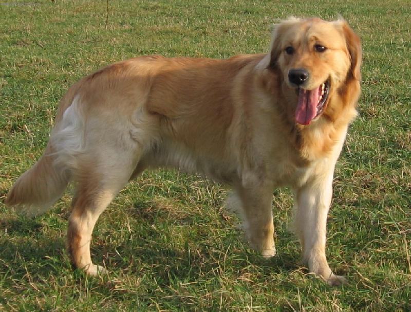 Foto: ukaž jazyk...