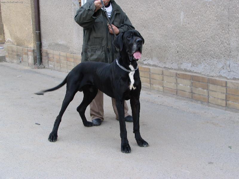 Foto: Hitschcock-jsem fešák