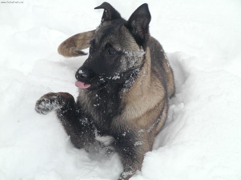 Foto: Pojď si hrát