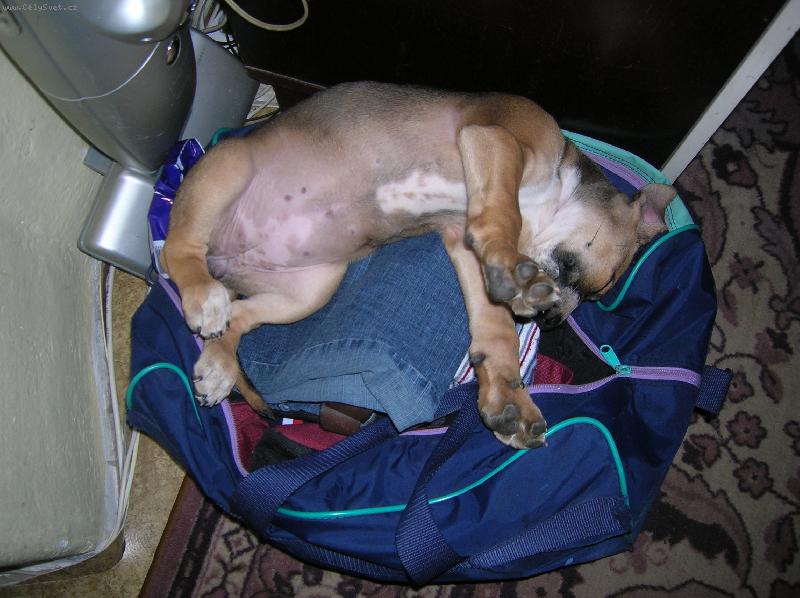 Foto: Aby jste mě tady náhodou nezapoměli! jistota je jistota