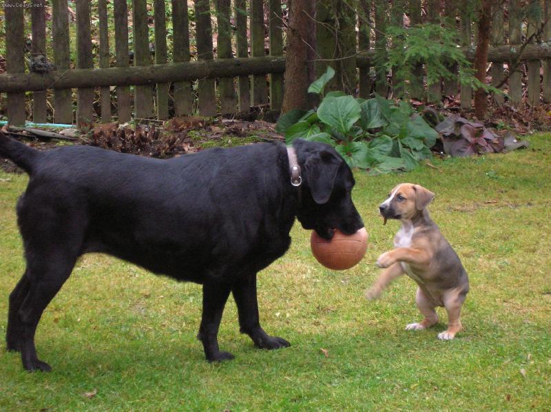 Foto: Hele, přihraj taky!