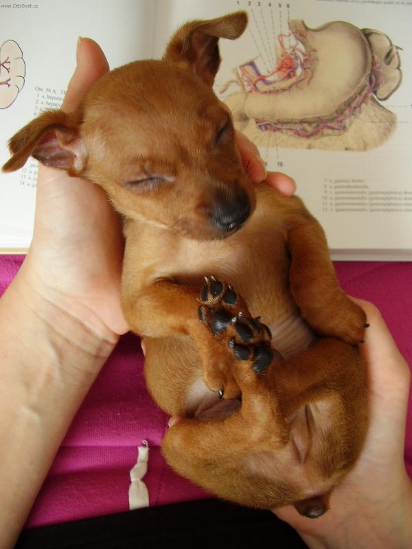 Foto: Tedík-to jsem byl malinkej...