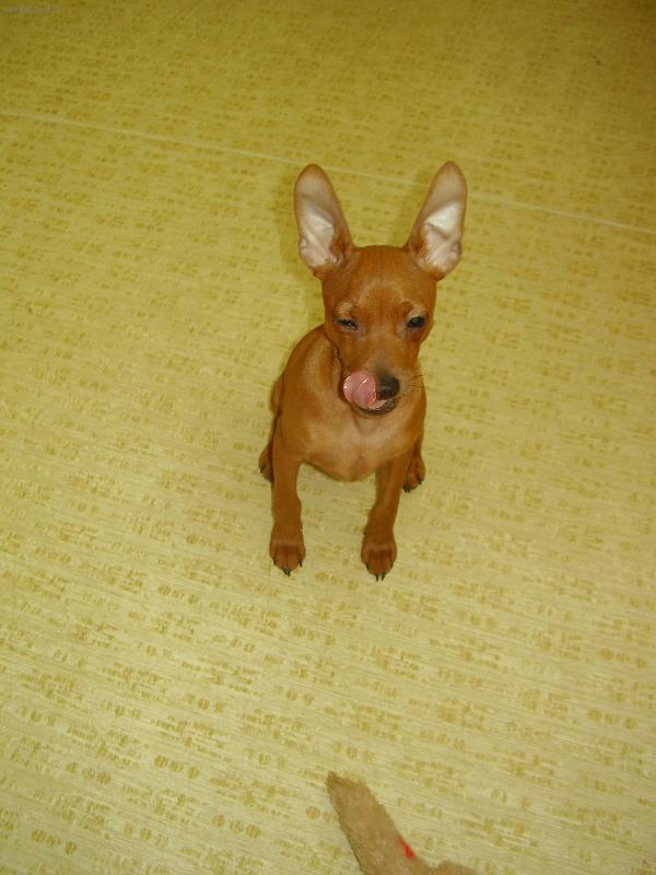 Foto: Ted-mňam, to byla dobrota???