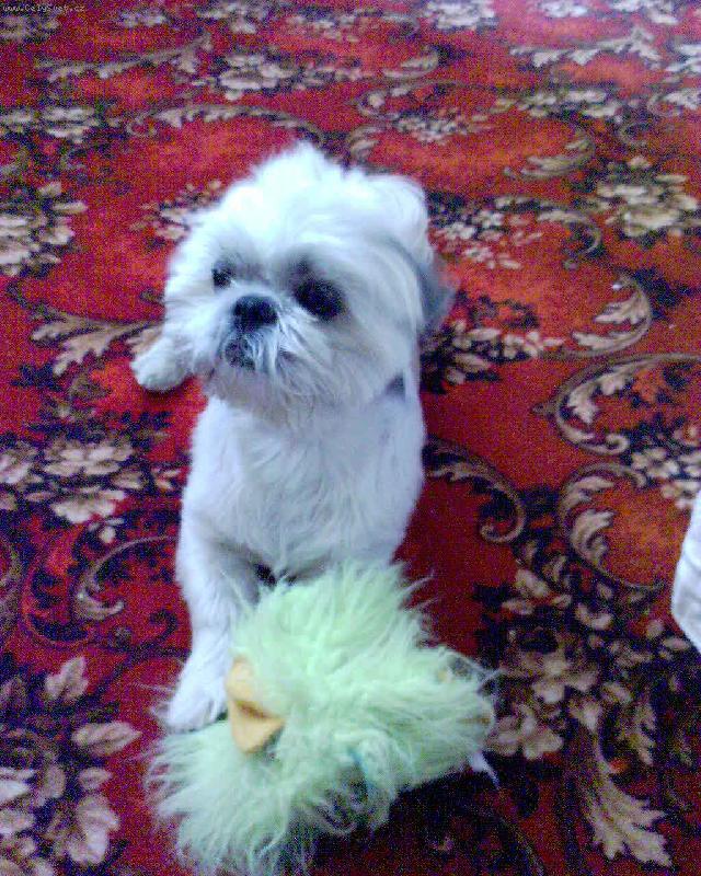 Foto: Naše miminko Edánek