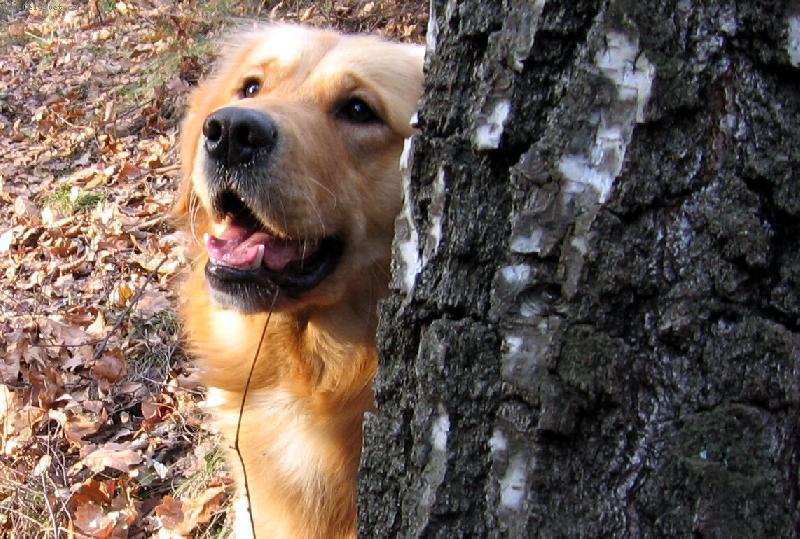 Foto: já tě vidím