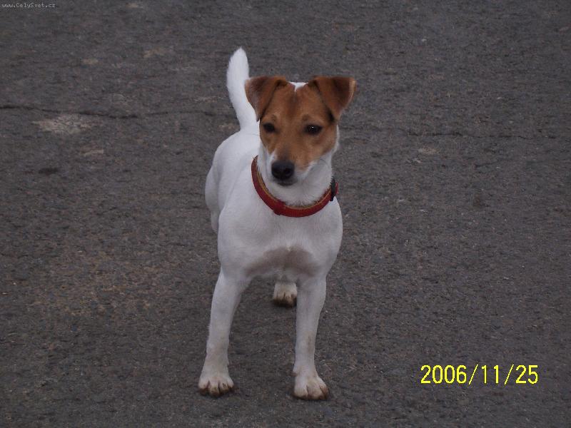 Foto: Fattynka-Fattynka ve střehu!!!