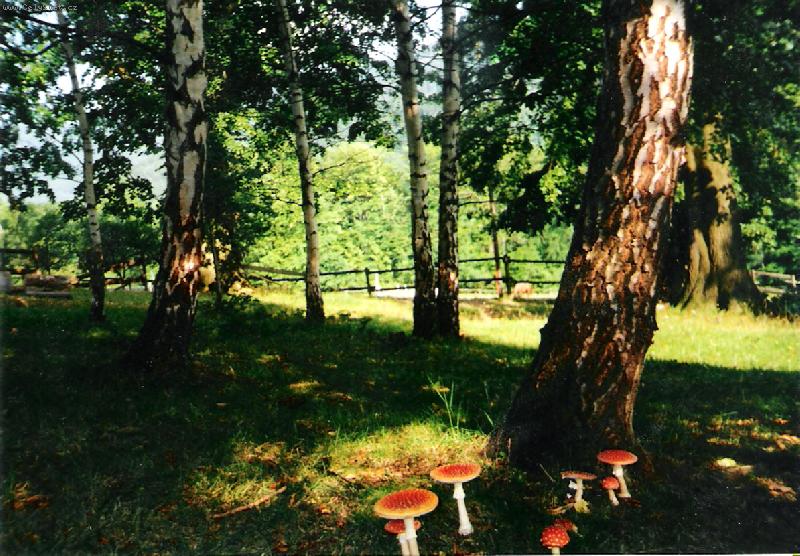 Foto: Mal� Mor�vka-jako v poh�dce