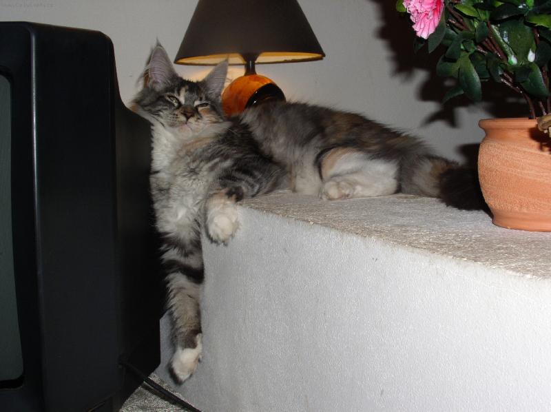 Foto: večerní únava