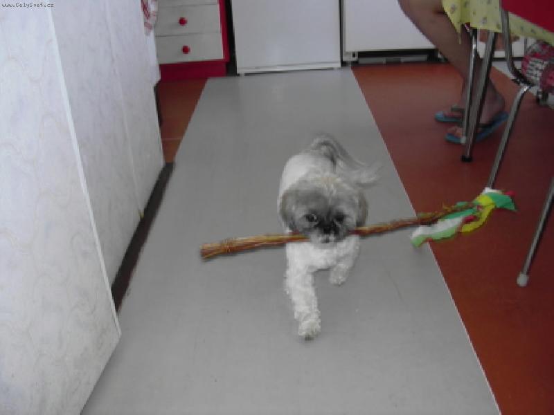 Foto: Velikonoce-Jdu si také zakoledovat