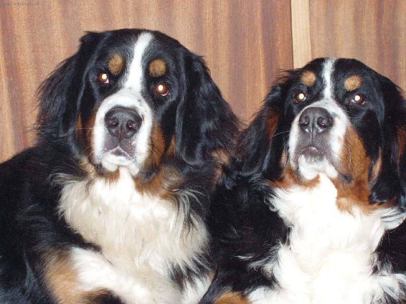 Foto: Naše holčičky