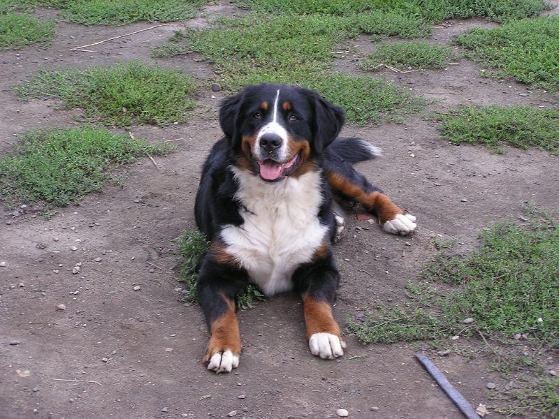 Foto: Úsměv prosím!!!