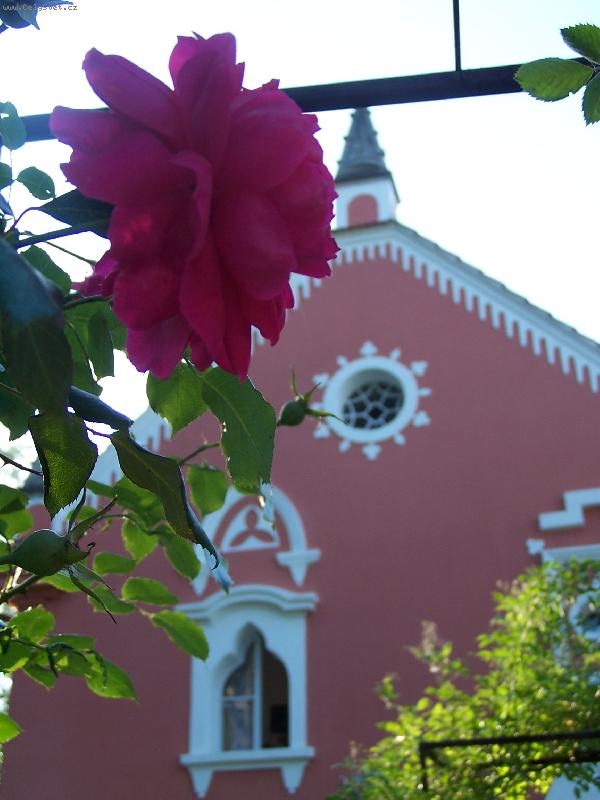 Foto: Taky to vidím-Já a moje číča