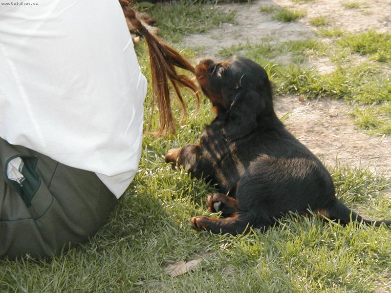 Foto: Mňam, to je dobrota!