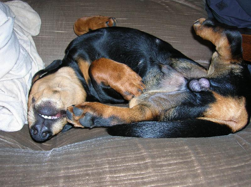 Foto: Valda-Valda leží