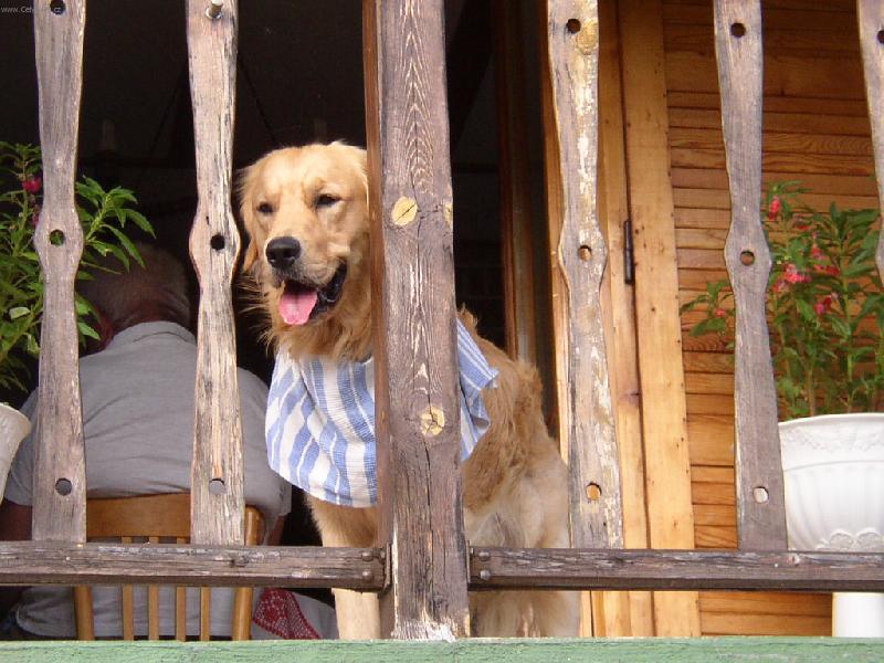 Foto: Kubíček-Ven ještě nemůžu, nejsem po obědě