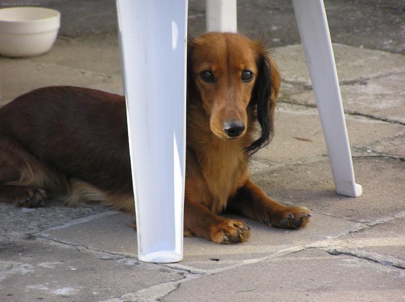 Foto: To je naše Ketyna-Tady jsem královna já....: )